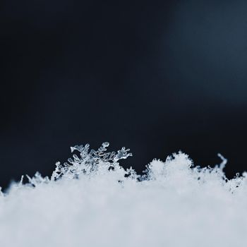 natural snowflakes on snow, photo real snowflakes