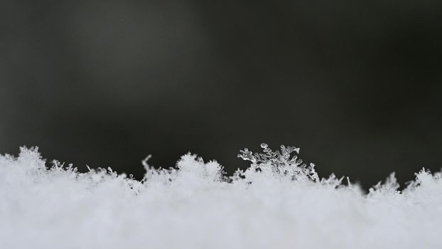 natural snowflakes on snow, photo real snowflakes