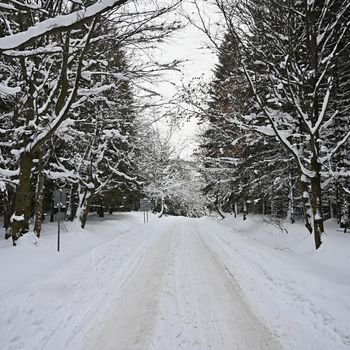 Road in winter. Snowy mountain path for a car. Concept for traveling and safe driving in winter by car.