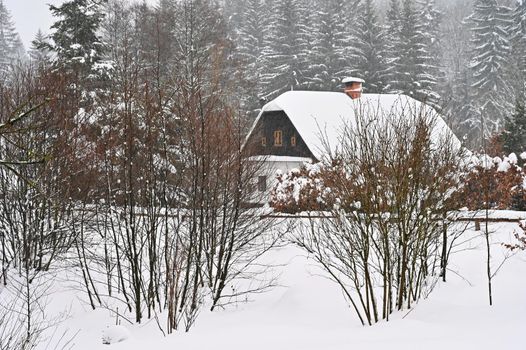 Snowy house. A beautiful winter landscape concept with a building and snow.