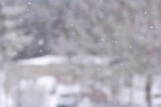 Snowfall. Beautiful winter background seasonal nature and the weather in winter. Winter landscape with falling snow.