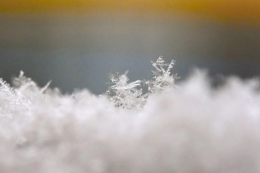 Snowflake. Macro photo of real snow crystal. Beautiful winter background seasonal nature and the weather in winter.