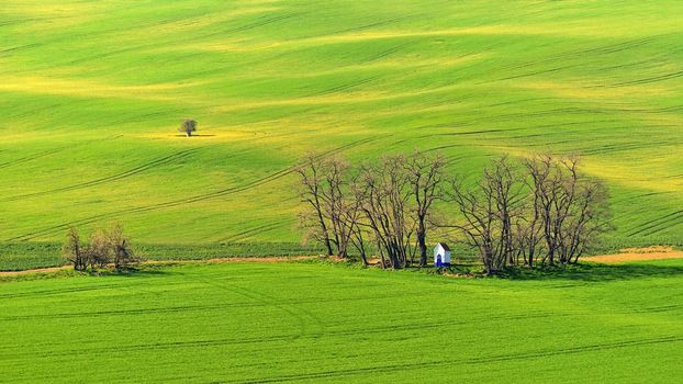 Beautiful spring landscape with field of grass hills at sunset. Waves in nature Moravian Tuscany - Czech Republic - Europe.