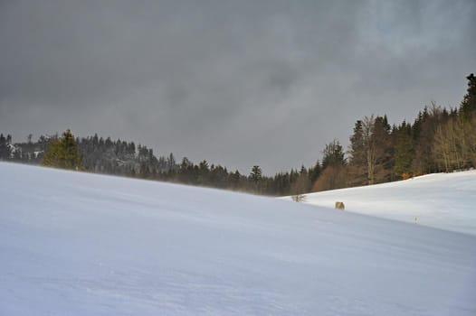 Beautiful winter landscape. Highland - Czech Republic.