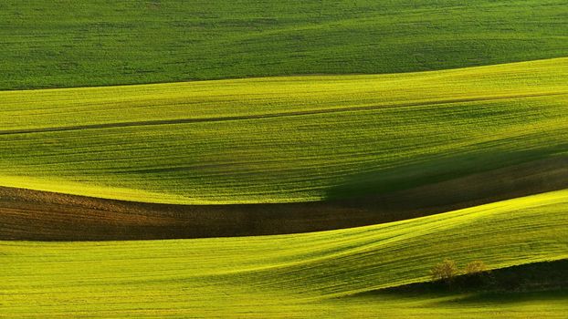 Beautiful spring landscape with field of grass hills at sunset. Waves in nature Moravian Tuscany - Czech Republic - Europe.