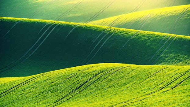 Green spring nature background with setting sun and grass. Waves on the field.  Moravian Tuscany - Czech Republic - Europe.