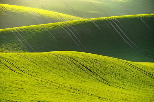 Green spring nature background with setting sun and grass. Waves on the field.  Moravian Tuscany - Czech Republic - Europe.