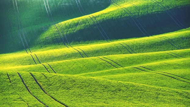 Green spring nature background with setting sun and grass. Waves on the field.  Moravian Tuscany - Czech Republic - Europe.