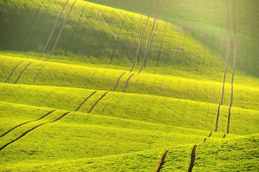 Beautiful spring landscape with field of grass hills at sunset. Waves in nature Moravian Tuscany - Czech Republic - Europe.