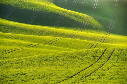 Green spring nature background with setting sun and grass. Waves on the field.  Moravian Tuscany - Czech Republic - Europe.