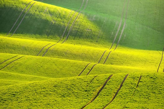 Green spring nature background with setting sun and grass. Waves on the field.  Moravian Tuscany - Czech Republic - Europe.