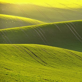Green spring nature background with setting sun and grass. Waves on the field.  Moravian Tuscany - Czech Republic - Europe.