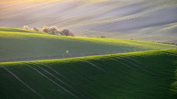Beautiful spring landscape with field of grass hills at sunset. Waves in nature Moravian Tuscany - Czech Republic - Europe.