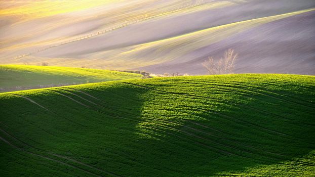 Beautiful spring landscape with field of grass hills at sunset. Waves in nature Moravian Tuscany - Czech Republic - Europe.