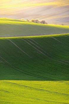 Beautiful spring landscape with field of grass hills at sunset. Waves in nature Moravian Tuscany - Czech Republic - Europe.