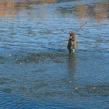 11 November 2017 brno Czech Republic. Traditional autumn catch of ponds. Czech pre-Christmas tradition. 