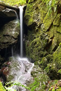 Beautiful nature background with stream and forest. Springtime in nature.