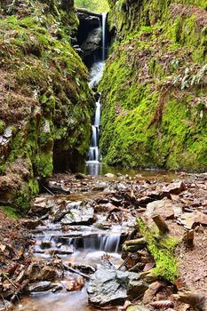 Beautiful nature background with stream and forest. Springtime in nature.