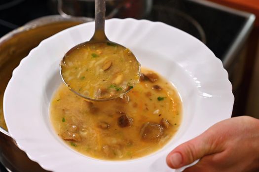 Taking soup into a plate. Delicious homemade mushroom soup served in a plate.