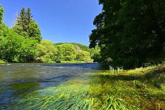 Beautiful summer landscape with river, forest, sun and blue skies. Natural colorful background. Jihlava River, Czech Republic - Europe.