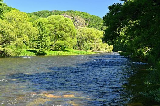 Beautiful summer landscape with river, forest, sun and blue skies. Natural colorful background. Jihlava River, Czech Republic - Europe.