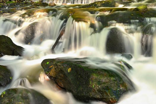 Beautiful landscape with nature and river with stones in the forest.