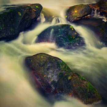 Beautiful landscape with nature and river with stones in the forest.