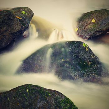 Beautiful landscape with nature and river with stones in the forest.