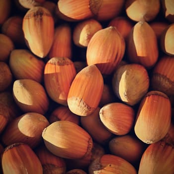 Background with hazelnuts. Healthy autumn nuts.