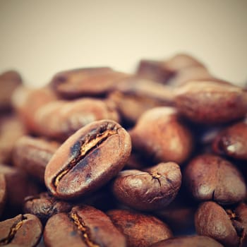 Coffee beans isolated on white clean background.