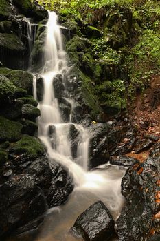 Nature - beautiful small waterfall on the creek. Natural colorful background with running water over stones in the forest.