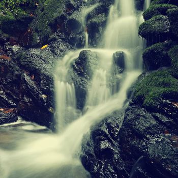 Nature - beautiful small waterfall on the creek. Natural colorful background with running water over stones in the forest.