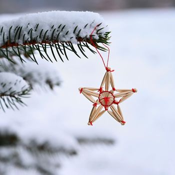 Beautiful natural Christmas decorations made of straw on a snowy Christmas tree. Winter nature colorful outdoor background for the holidays.