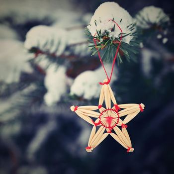 Beautiful natural Christmas decorations made of straw on a snowy Christmas tree. Winter nature colorful outdoor background for the holidays.