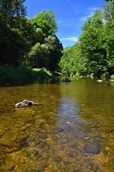 Beautiful summer landscape with river, forest, sun and blue skies. Natural background. Green.