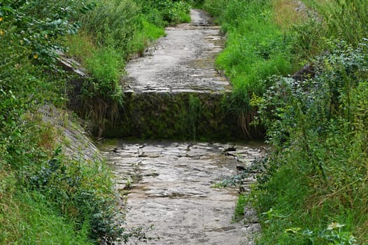 Dried stream by the forest. Beautiful green nature without water. Hot summer weather and drought. Concept for ecology and environment.