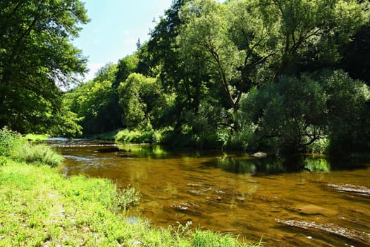 Beautiful summer landscape with river, forest, sun and blue skies. Natural background. Green.