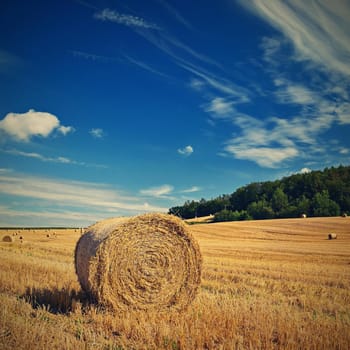 Beautiful summer landscape. Agricultural field. Round bundles of dry grass in the field with bleu sky and sun. Hay bale - haystack.