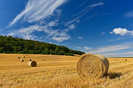 Beautiful summer landscape. Agricultural field. Round bundles of dry grass in the field with bleu sky and sun. Hay bale - haystack.