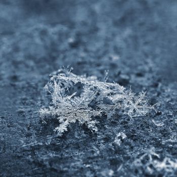 A real snowflake. Beautiful macro shot of frozen snow in winter.