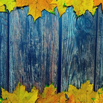 Autumn background with colored leaves on wooden board. Flat lay, top view, copy space.