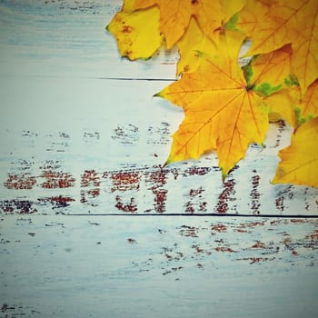 Autumn background with colored leaves on wooden board. Flat lay, top view, copy space.