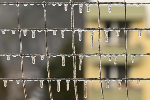 Beautiful icicles in winter. Concept for winter and frost.