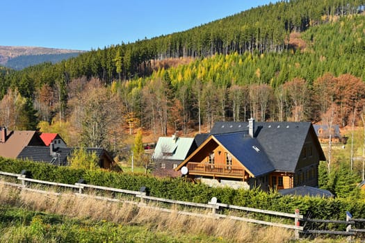 Beautiful landscape with forest and sky on mountains. Pure nature around Jeseníky - Czech Republic - Europe.