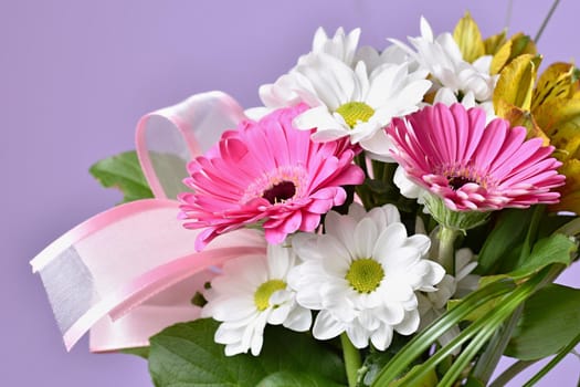 Beautiful colorful daisy flowers.Gerbera. Spring background - garden.