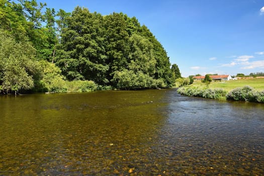 Beautiful summer landscape with river, forest, sun and blue skies. Natural background. Green.