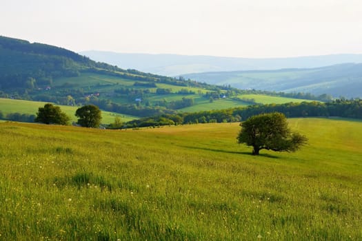 Beautiful landscape in the mountains in summer. Czech Republic - the White Carpathians - Europe.
Natural scenery of forests, meadows and mountains.