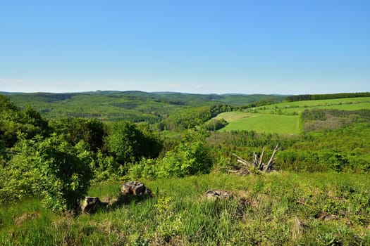 Spring landscape in the Czech Republic. Europe.