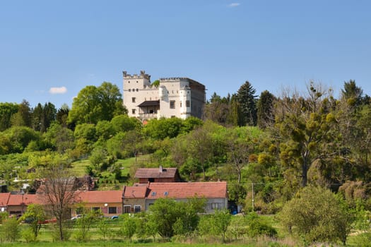 castle Nesovice - Czech republic. 