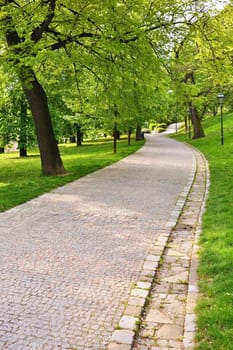 Beautiful green spring park. The path in the park. Beautiful quiet place in the middle of town. Rest and relaxation outdoors. Brno city - Czech republic Spilberk.